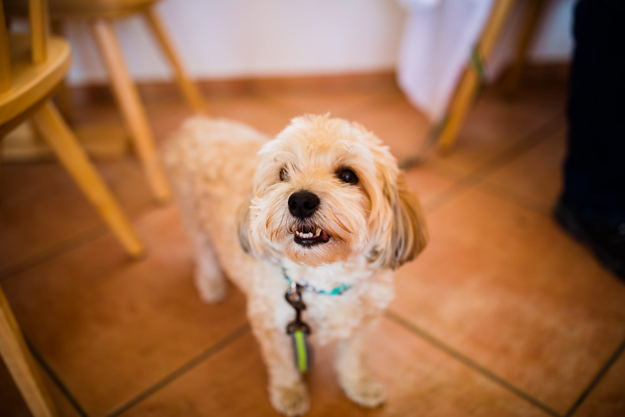 Export x3 5D4 5564 Geburtstag 75 Klara @ Golffricktal